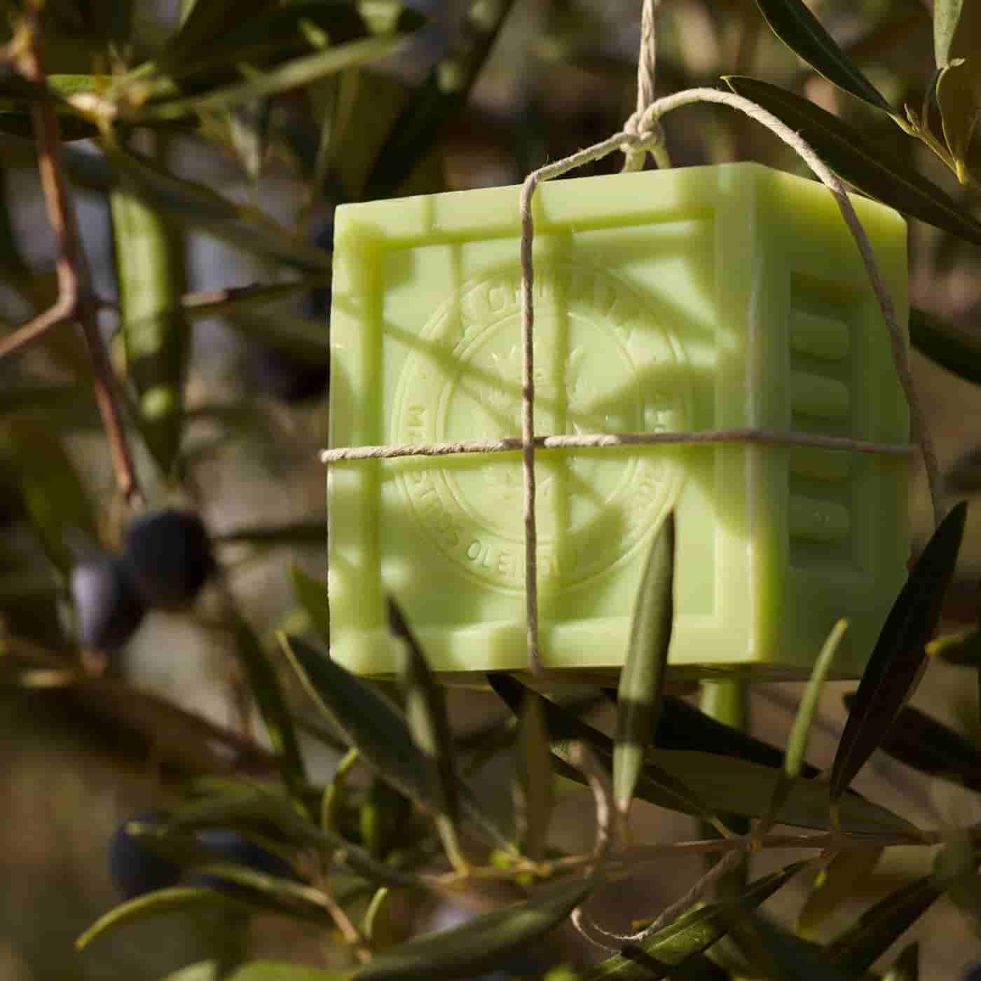 Olive Oil Soap